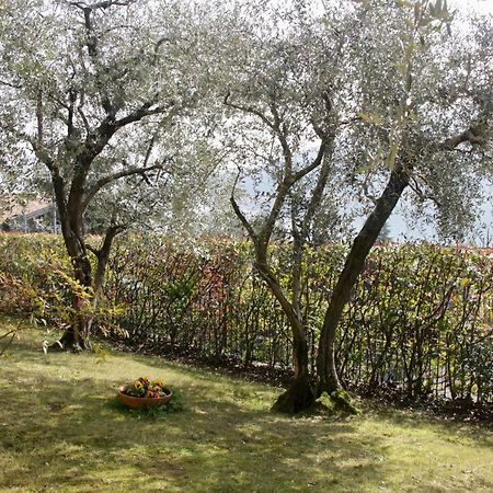 Sarnico Giardino Sul Lago Ngoại thất bức ảnh